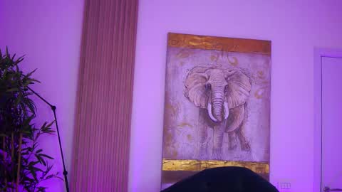 Lilly online show from October 12, 7:29 am