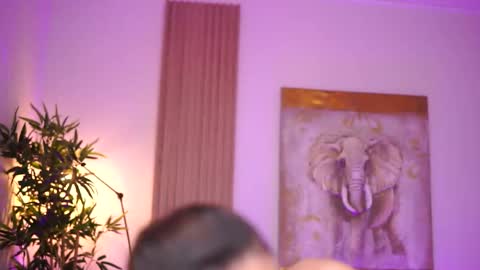 Lilly online show from October 23, 8:13 am