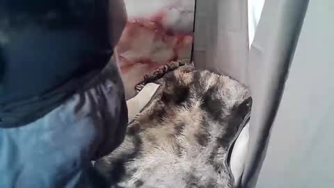 RUBY online show from November 19, 2:55 am