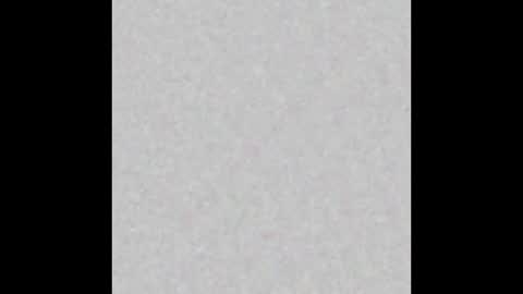 Start 18 year  Noa 19 year online show from March 20, 2:11 pm