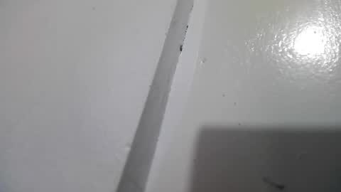 Stacy online show from April 13, 3:06 pm