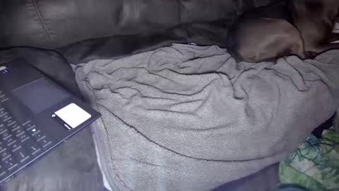 Snapshot of sweetgesus chatting on January 5, 3:53 am sweetgesus online show from January 5, 3:53 am