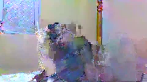 Snapshot of sweetib1 chatting on January 4, 5:05 pm sweetib1 online show from January 4, 5:05 pm