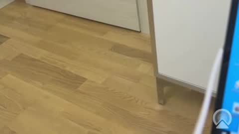 sweetlovelyladylove online show from April 15, 8:32 am