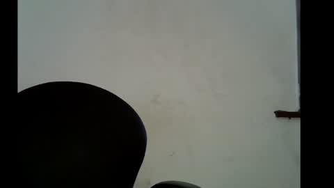 LILY BRANDY online show from May 31, 7:04 am