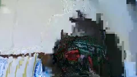 Cute vixen online show from December 5, 12:44 pm