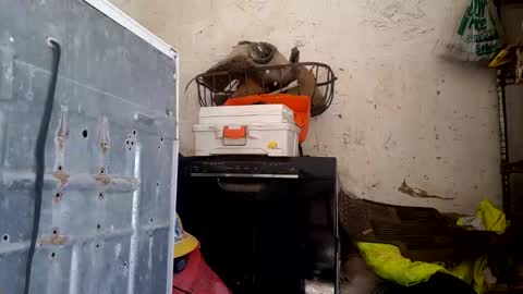 tadfn online show from February 27, 7:47 pm