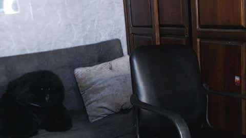 Tairon Tucke online show from December 18, 1:48 am