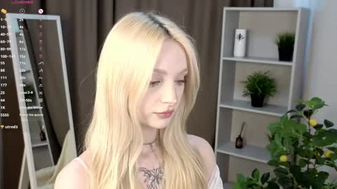 taitechubb online show from April 14, 3:12 am