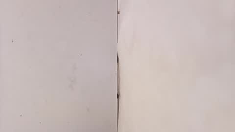 tall6feet7inch online show from March 15, 9:15 am