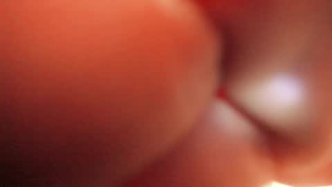 Snapshot of tamarathompsonn chatting on September 10, 6:24 am Tamara. online show from September 10, 6:24 am