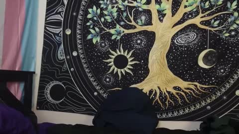 Tarrow online show from December 29, 2:17 am