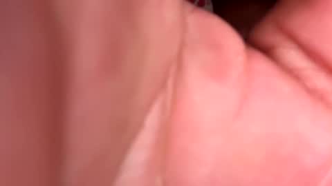 tasmanwawatai27 online show from February 20, 12:05 pm