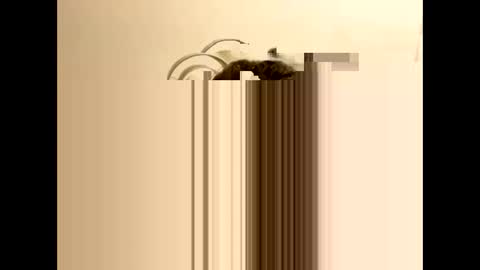 tastytexas24 online show from February 9, 12:47 am