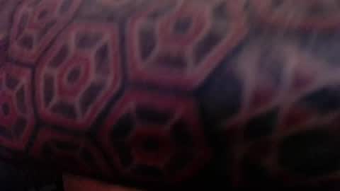 Snapshot of tatted420stoner chatting on October 5, 3:27 am tatted420stoner online show from October 5, 3:27 am