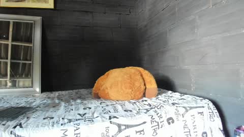  T A U R U S  online show from January 17, 6:02 pm