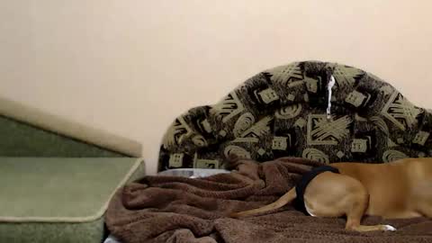 Taya online show from December 16, 7:30 pm