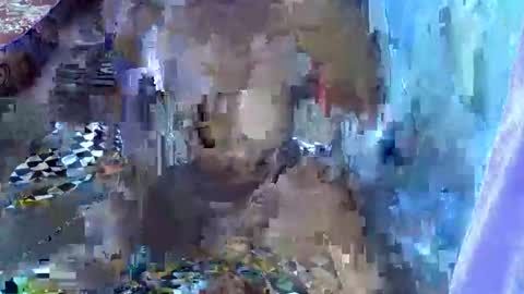 teabody1 online show from March 23, 6:45 pm