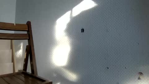 Snapshot of tecovas chatting on December 30, 8:25 pm tec0vas online show from December 30, 8:25 pm