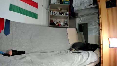 Virg Lszl online show from January 13, 10:53 am