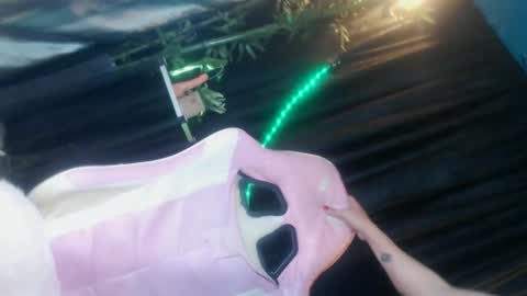 temptationcock69_iva online show from April 7, 11:26 pm