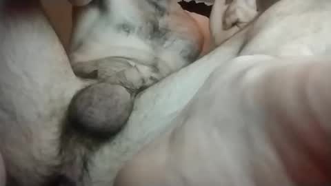 Snapshot of teoorry995266 chatting on January 19, 9:22 am Toerry online show from January 19, 9:22 am