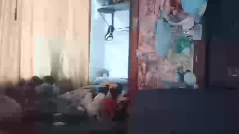 Terra Elowen online show from March 20, 1:27 pm