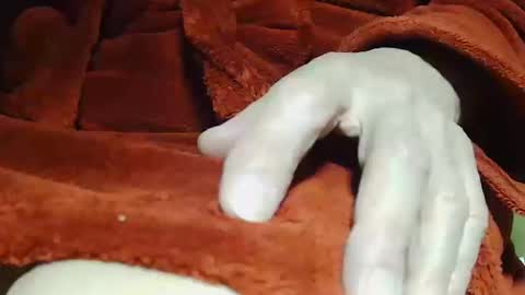 Snapshot of tetuo2 chatting on October 14, 4:13 am tetuo2 online show from October 14, 4:13 am