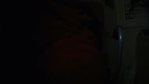 Snapshot of tetuo2 chatting on November 5, 6:13 am tetuo2 online show from November 5, 6:13 am