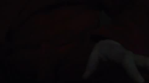 Snapshot of tetuo2 chatting on November 17, 5:13 am tetuo2 online show from November 17, 5:13 am