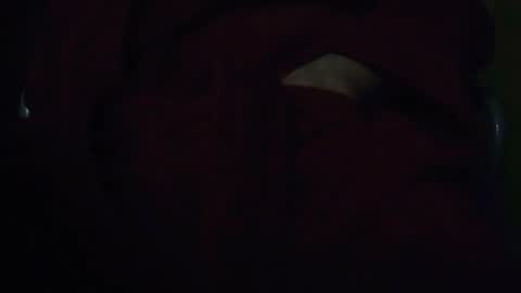 Snapshot of tetuo2 chatting on December 3, 11:19 am tetuo2 online show from December 3, 11:19 am