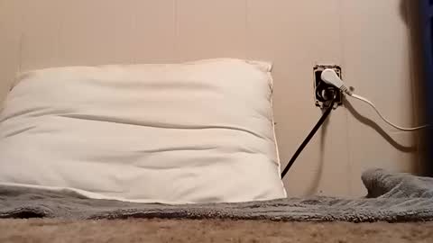 thatb1 online show from November 5, 1:27 am