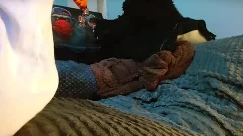 GIORGGIO online show from April 10, 12:38 am