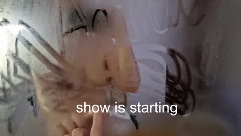 Anna online show from May 23, 12:05 am