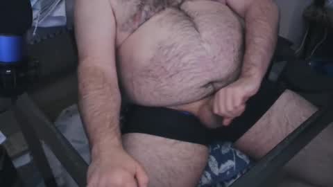 The Bear King online show from January 23, 5:56 am