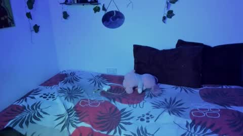 Ariamapola88 online show from November 16, 1:44 am