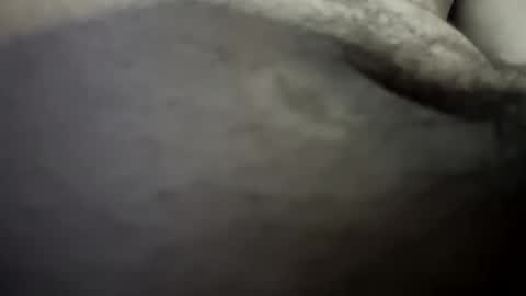 thehousedog online show from January 17, 12:32 pm