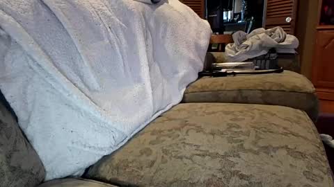 theicecreamguru online show from October 8, 7:55 pm