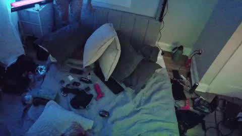 Snapshot of theperfectbottom chatting on November 17, 11:49 am theperfectbottom online show from November 17, 11:49 am