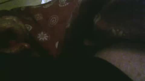 Snapshot of thisbloke96 chatting on December 17, 10:27 pm thisbloke96 online show from December 17, 10:27 pm