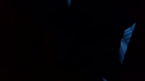 Snapshot of thisdixforyou chatting on December 31, 7:40 pm thisdixforyou online show from December 31, 7:40 pm