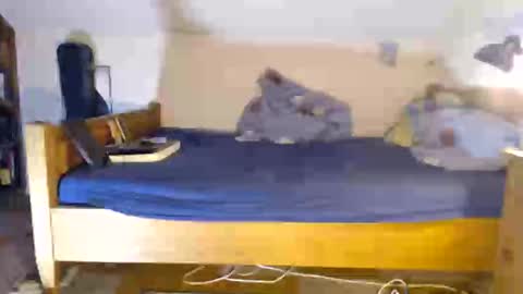 Thomas online show from November 29, 5:05 pm