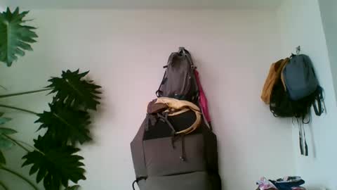 Snapshot of tiaretiareopui chatting on October 31, 11:22 am tiaretiareopui online show from October 31, 11:22 am