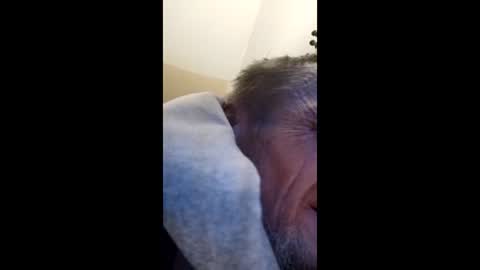 Snapshot of tibed1968836757 chatting on February 15, 8:49 pm tibed1968836757 online show from February 15, 8:49 pm