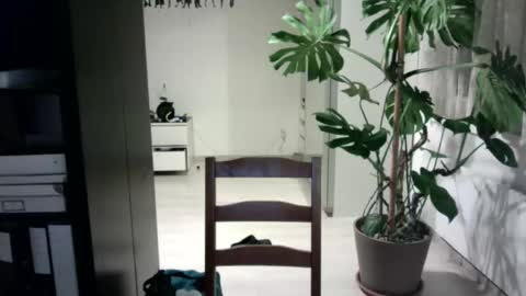 tiburzio online show from April 5, 10:18 pm