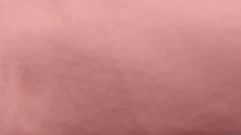 Snapshot of tibustream chatting on April 16, 9:50 pm tibustream online show from April 16, 9:50 pm