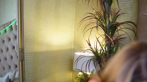  Tiffany  online show from November 7, 9:26 pm