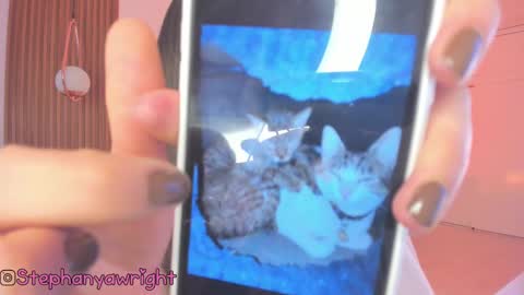 Tiffany online show from September 19, 1:23 pm