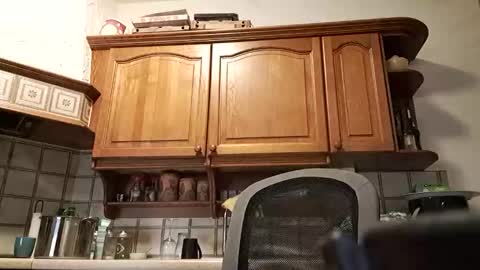 Snapshot of tigermatt76e chatting on March 1, 6:32 pm tigermatt76e online show from March 1, 6:32 pm