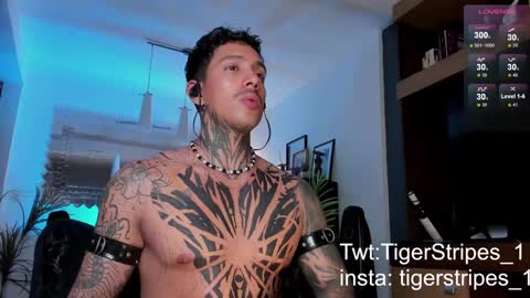 Snapshot of tigerstripes_ chatting on February 22, 4:40 am Chris online show from February 22, 4:40 am